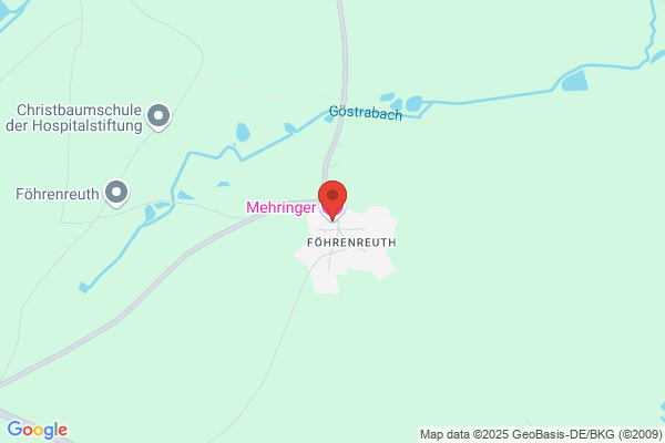 Mehringer