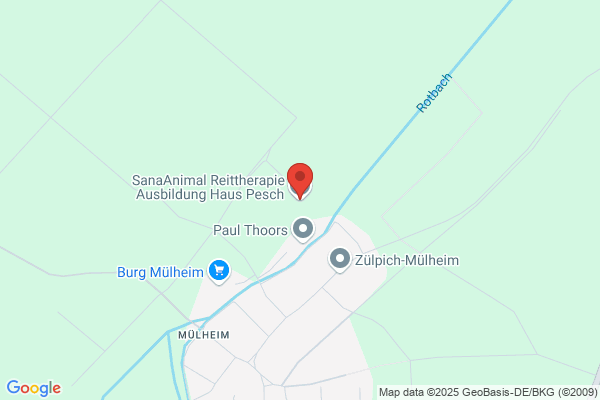 Bildungsinstitut für Reittherapie