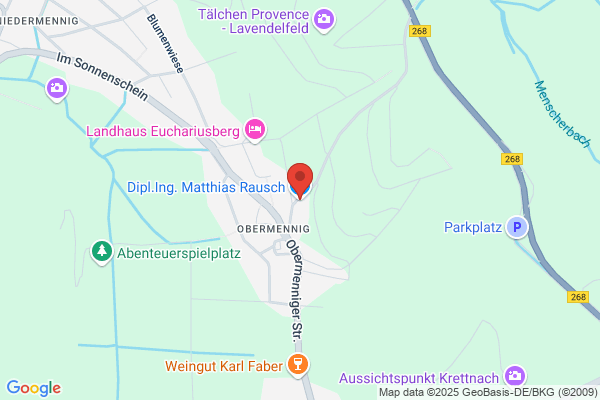 Dipl.Ing.Matthias Rausch