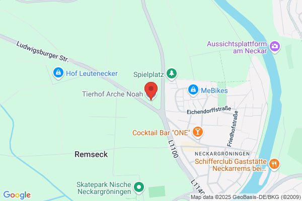 Arche