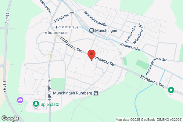 Hotel Geiger