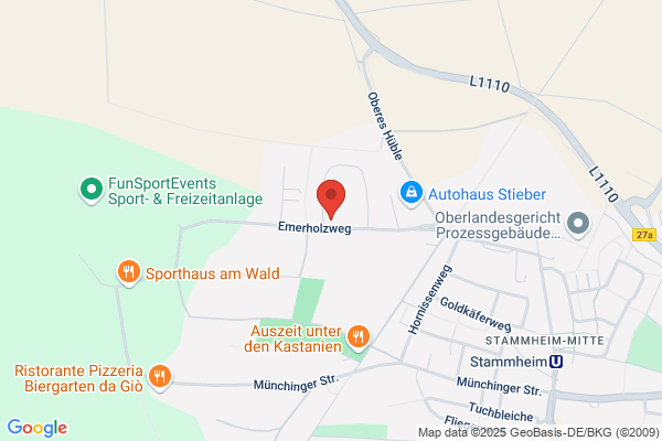 Widmann GmbH & Co. KG