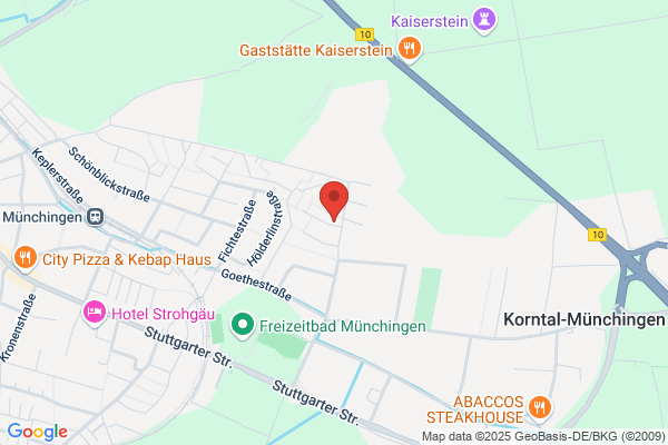 Karl Scheyhing
