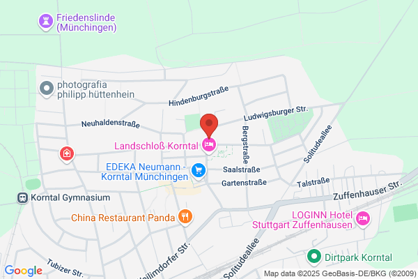 Dr. Dornis & Partner GmbH
