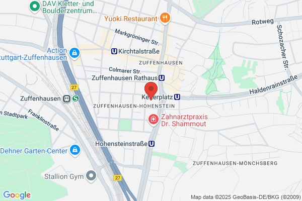 Carly's Fahrschule