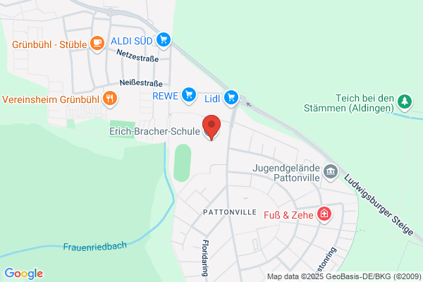 Erich-Bracher-Schule Kornwestheim-Pattonville