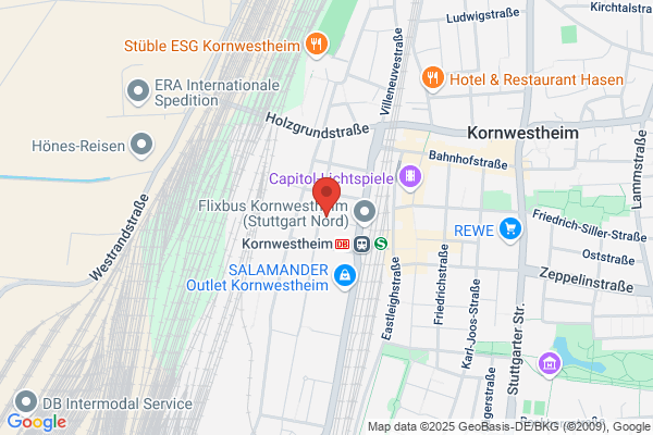 Cosmos Kultur und Mehr Taiyi und Qigong Schule
