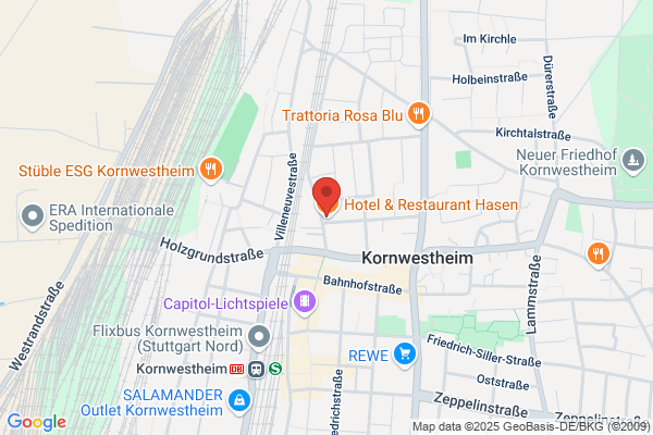 GASTRO-Umlufthauben