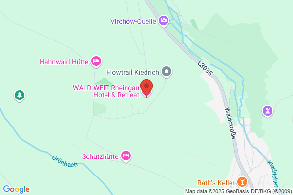 Hotel Wallstein