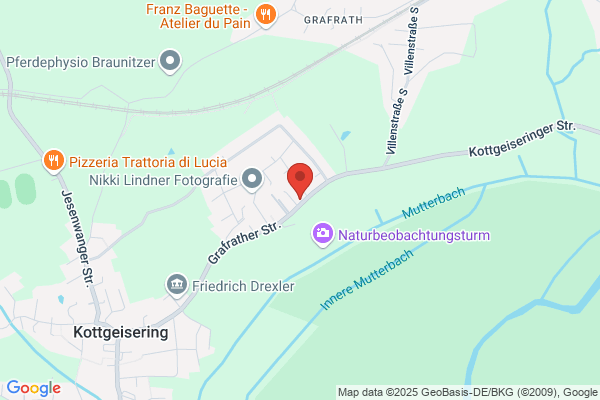 Musikgartenfrösche