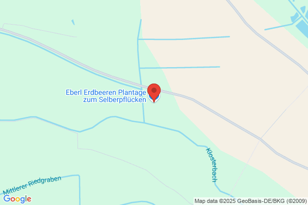 Eberl Erdbeeren
