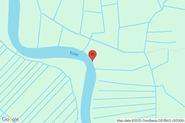 Eider