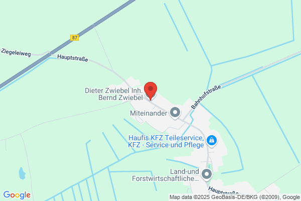 Bernd Zwiebel, Dieter Zwiebel