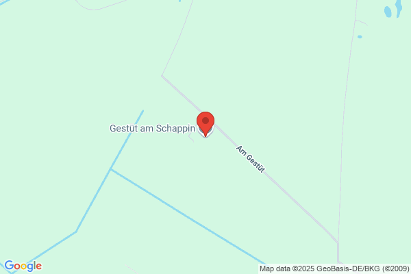 Gestüt am Schappin