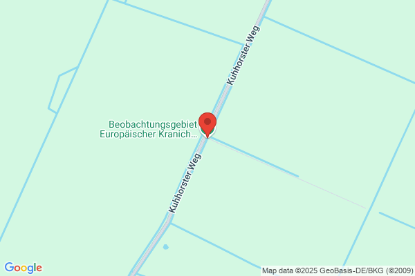 Kranich