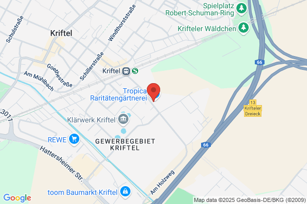 Caffe K Gaststätten Betriebs GmbH