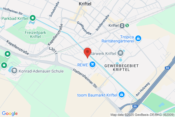 CO.GE.SE. S.r.l., Zweigniederlassung Deutschland