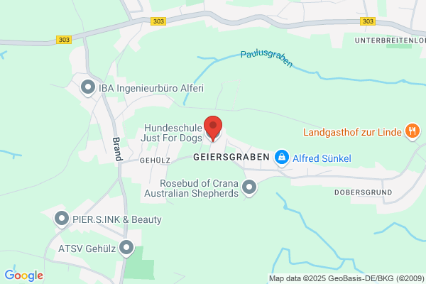 Hundeschule Just For dogs