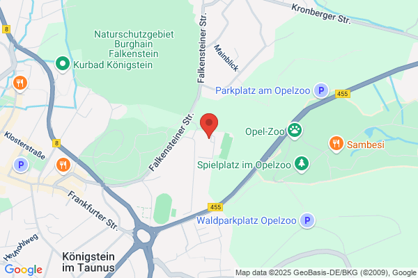 Sportpark Königstein Ballsport