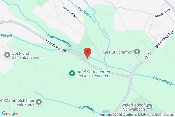 Zu den Füchsen