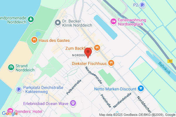 Herz muschel