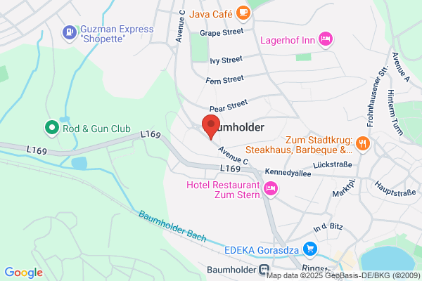 Pond Security Service GmbH