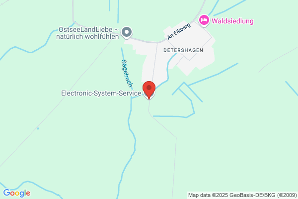 Electronic-System-Service