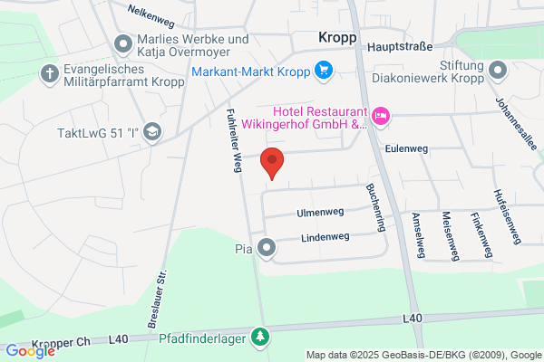 BDMP e.V. Landesverband D. Mesletzky