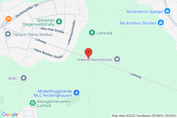 Haus Waldesruh