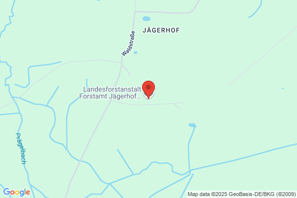 Landesforstanstalt Forstamt Jägerhof Revier Spandowerhagen