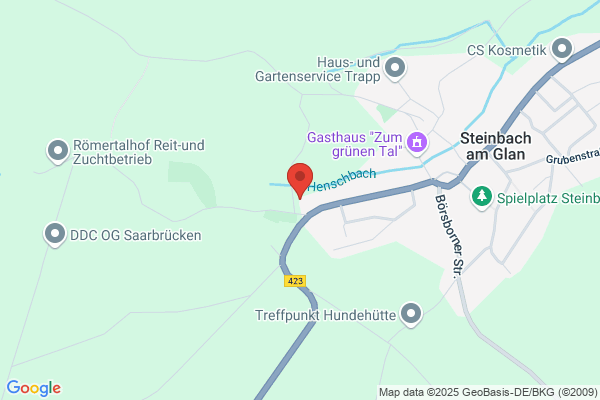 Feuerwehr Steinbach am Glan