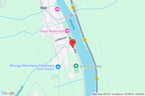 Hotel Villa Melsheimer