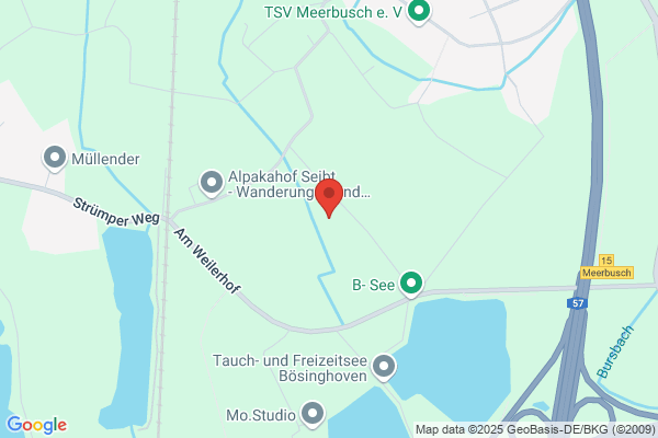 Feldbusch