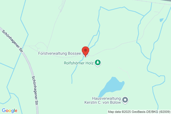 Bossee