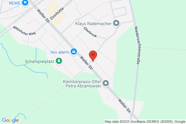 Buchhaltungsservice - buchen lfd Geschäftsvorfälle