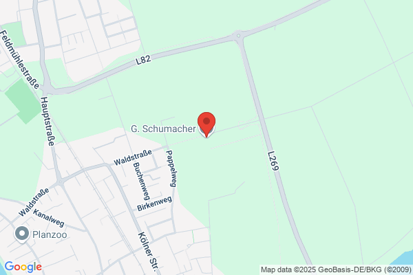 Schumacher, Alfons