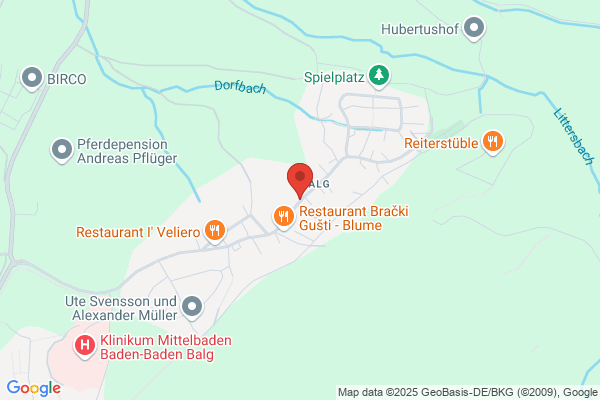 Ims Market Service Gmbh