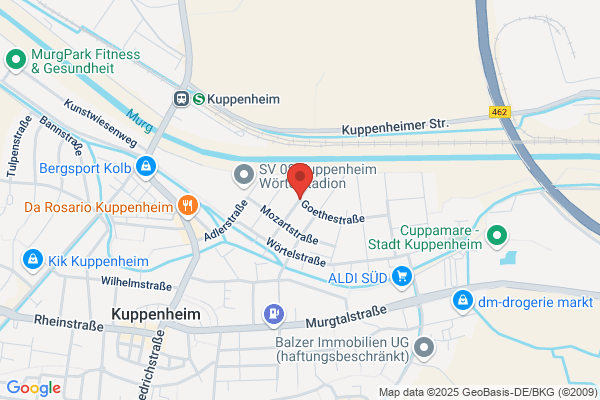 Staeb Guido Kunstrasensysteme