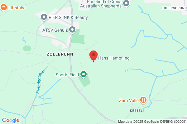 Hans Hempfling
