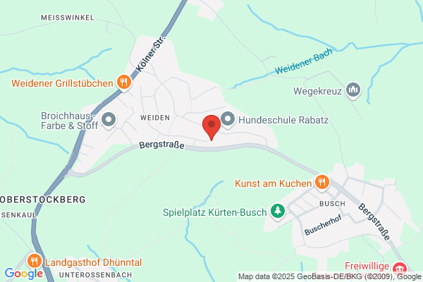 diewildeperle