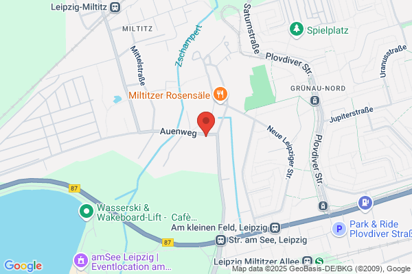 Mobile Autolack Reparatur