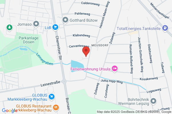 Hundebetreuung Leipzig - Tierpsychologie / Fachgebiet Hunde