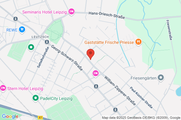 Labcols inside Gassi Service und Hundetraining