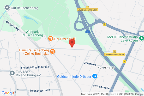 Rheingeist Werbeagentur
