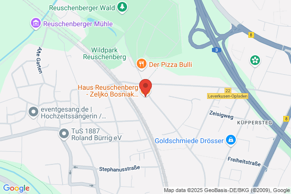 Haus Reuschenberg - Zeljko Bosniak - Leverkusen