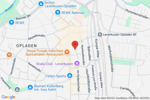 Web Exact Bach Alexander