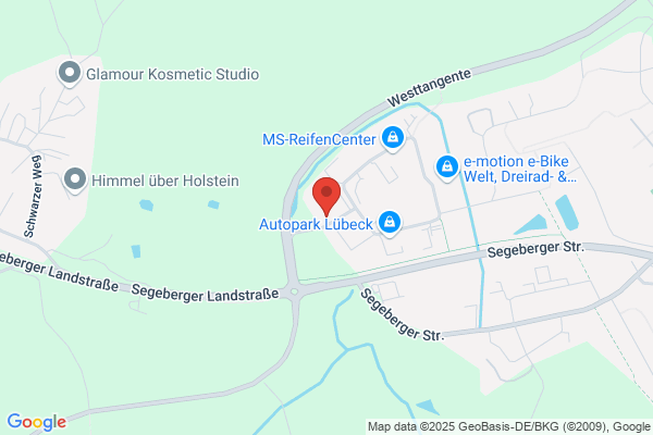 Kruse Henry GmbH & Co. KG