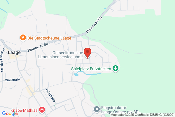 Limousinenservice