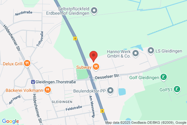 Das EU Auto GmbH