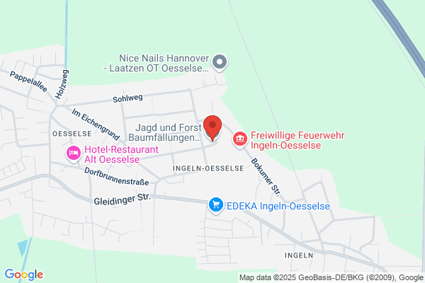 Baumdienst Hannover Gartenservice